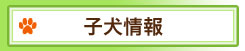子犬情報ミニチュアダックスフンド