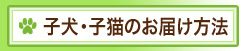 子犬・子猫のお届け方法