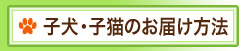 子犬・子猫のお届け方法