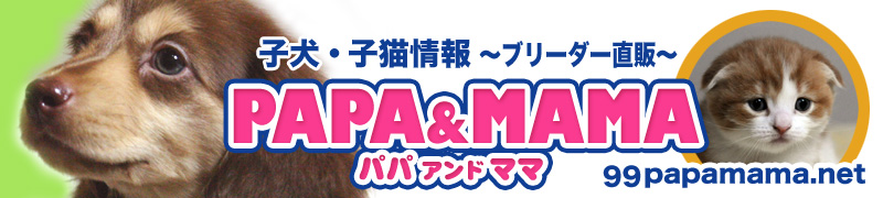 99papamama.net